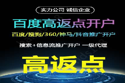 百度广告投放策略与效果评估案例